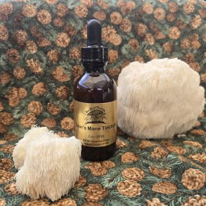 Lion's Mane Tincture