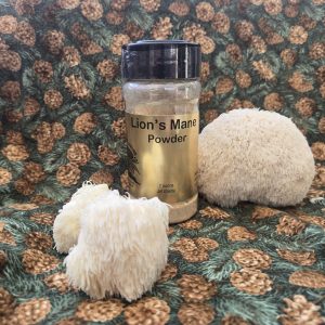 Lion's Mane Mushroom Powder