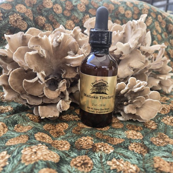 Maitake Tincture