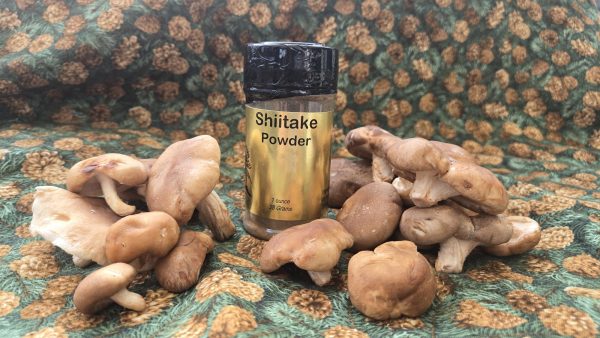 Shiitake Mushroom Powder