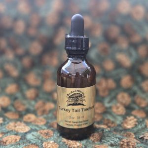 Turkey Tail Tincture