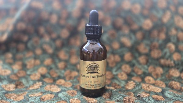 Turkey Tail Tincture